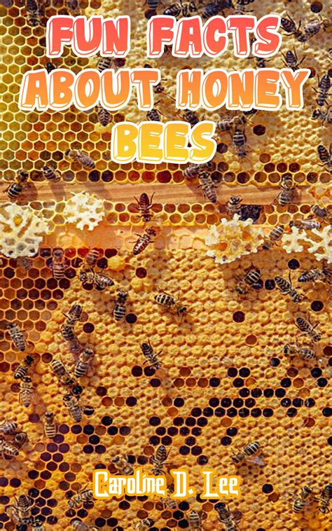 Buy Fun Facts About Honey Bees Honey Bee Fact For Girl Age 1 10 Honey