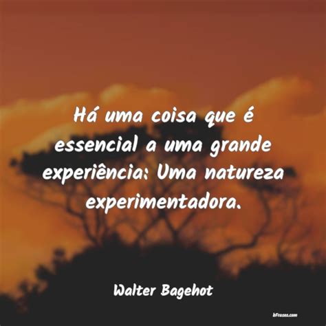 Frases de Walter Bagehot Há uma coisa que é essencial