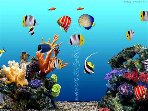 50 Aquarium Wallpaper Free On Wallpapersafari