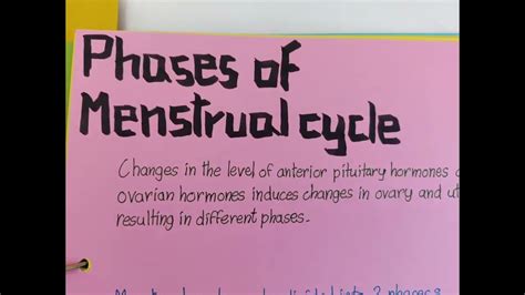 Xii Biology Project On Menstrual Cycle Biology Project File On Menstrual Cycle Youtube