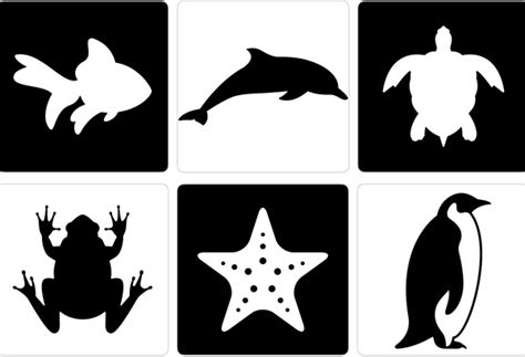Black And White Flashcards Of Animals For Newborn Babies Free