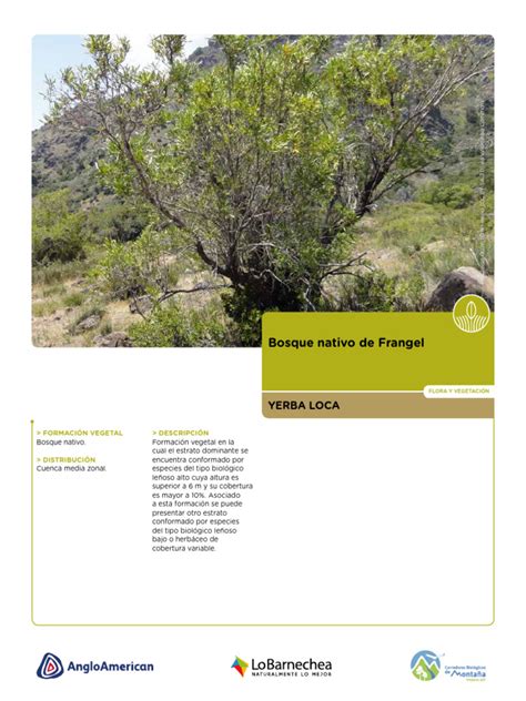 fichas flora y fauna 90 pdf