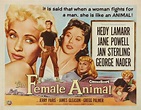 "The Female Animal" (1958) Hedy Lamarr, George Nader and Jane Powell ...