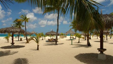 Aruba Manchebo Beach Resort Volonline