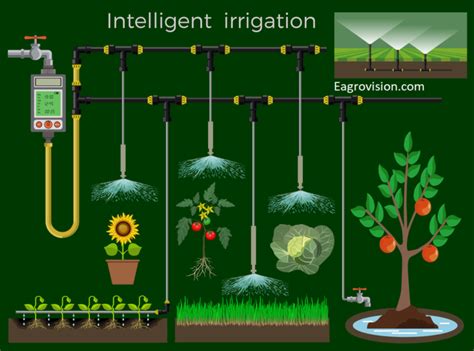 Irrigation Beginners Guide To Irrigation 2023