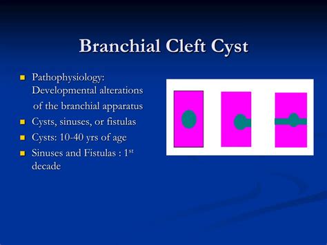 Ppt Head And Neck Masses Including Salivary Glands Powerpoint