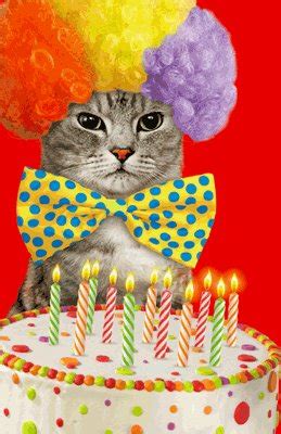 No, you don't like singing cats? kitty starts crying. Birthday Cat-ittude Greeting Card - Happy Birthday ...