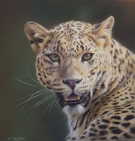 Eric Wilson Fine Art Paintings Of Leopards Fine Art Leopard Paintings