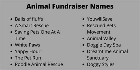 400 Cute Animal Fundraiser Names Ideas For You