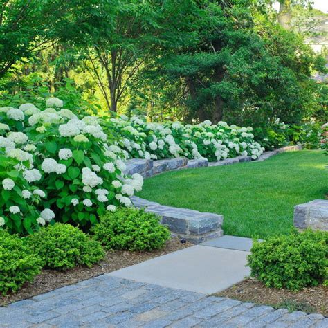 Plants grow best if you give them the right amount of sun and many gardeners plant in spring or fall when trees do not have leaves. Как создать сад, несложный в уходе, 12 советов + 55 фото