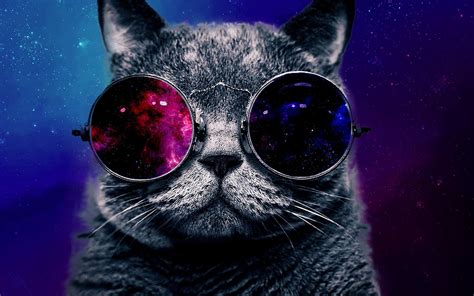 Glasses Cat Galaxy Wallpapers Top Free Glasses Cat