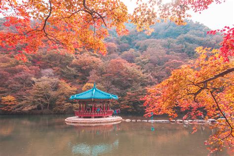 La corée du sud (en coréen: Corée du Sud : L'automne au mont Naejangsan - Ninaah bulles