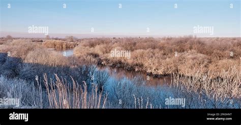 Siberian River Vagai In The Early Morning The Grass And Bushes Are