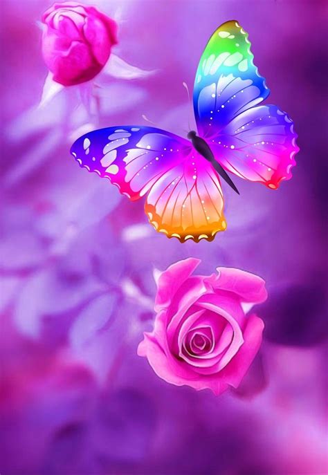 Beautiful Butterfly Iphone Wallpapers Top Free Beautiful Butterfly
