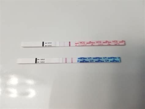 Doctors Pregnancy Test How Long Does It Take Pregnancywalls