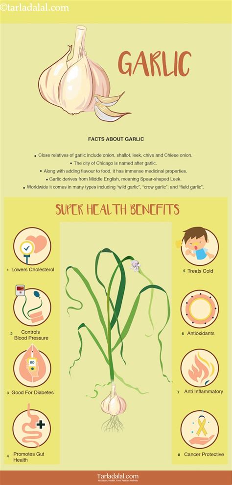 8 Health Benefits Of Garlic Lehsun 7 Healthy Garlic Recipes