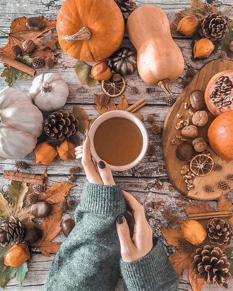 Pumpkins And Coffee For Fall Herbst Photos Herbst Fotografie Herbst
