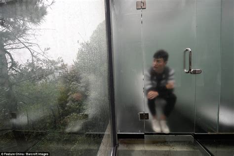 Chinese Ecological Park Opens Public Toilets Made Of Glass On Top Of Trees Daily Mail Online