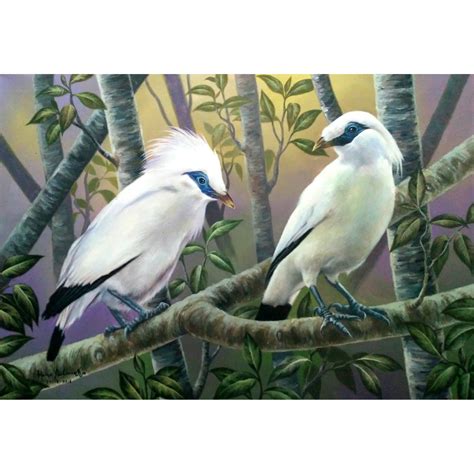 Detail Sketsa Gambar Burung Jalak Bali Koleksi Nomer 28