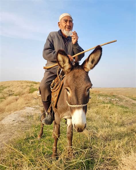 Old Man Riding A Donkey Jalal Abad Region On The Way To Uzgen