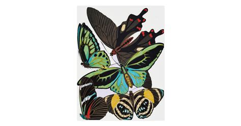Art Deco Butterflies Postcard Uk