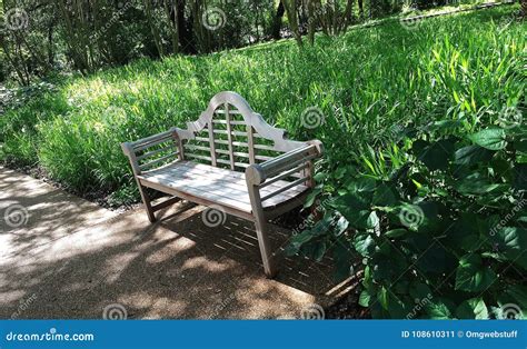 Park Bench In Botanical Garden Surrounded By Green Plants Stock Image