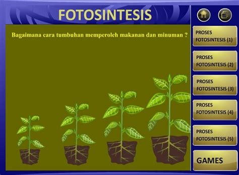 Meskipun anda mengatakan kurang ini itu, tetep aja web ini membantu lu nonton film porno premium tanpa harus daftar dan bayar jadi member. Media Interaktif Fotosintesis dan Sistem Pencernaan ...