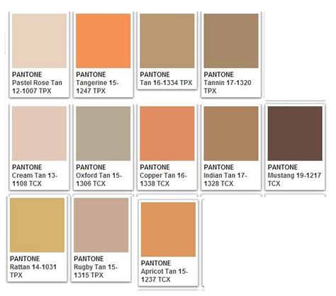 Browns Boho Color Scheme Pantone Colour Palettes Colour Pallete