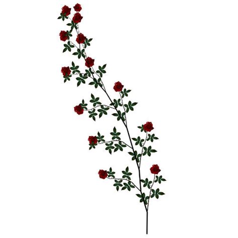 Red Rose Vine 1 By Texelgirl Stock On Deviantart
