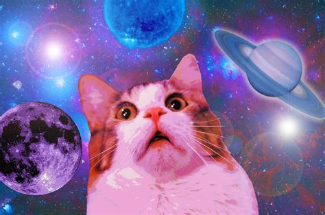 Funny Space Cat Wallpaper 1600x1062 Id51294 Anime Mèo Ảnh ấn Tượng