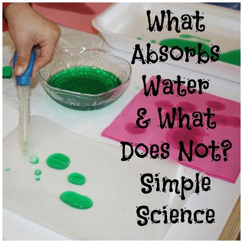 What Absorbs Water Absorption For Kids Water Science Experiments