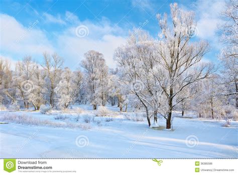 Beautiful Snowy Landscape By The Narew River Valley Stock