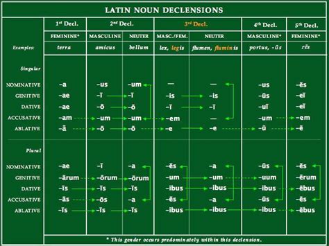 Latin Noun Declensions Latin Is English Latin Grammar Latin