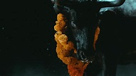 'Black Bull' by Foals... at DAVID