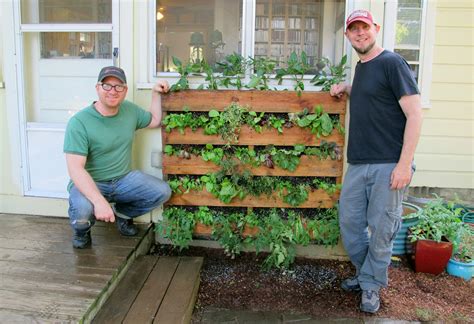 You can grow everything from succulents to herbs to vegetables to perennials and greeneries. Innovative DIY Pallet Vertical Garden Ideas | EASY DIY and ...