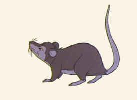 Julia robertsas charlotte the spider (voice). templeton, the rat from charlotte's web | talking animals ...