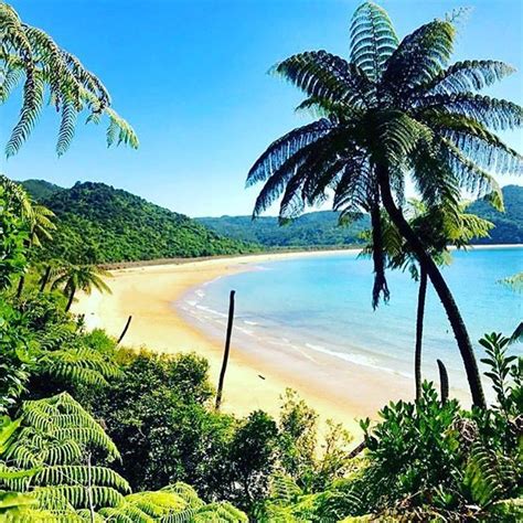 New data offers insight into customer concerns about banks. Pacific island living has increased the distribution of its travel magazine in Morena New ...