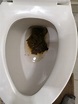 Hello guys, I had this type of poop this morning. The colour is green ...
