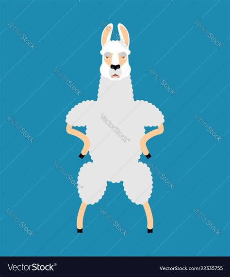 Lama Alpaca Angry Animal Evil Emoji Royalty Free Vector