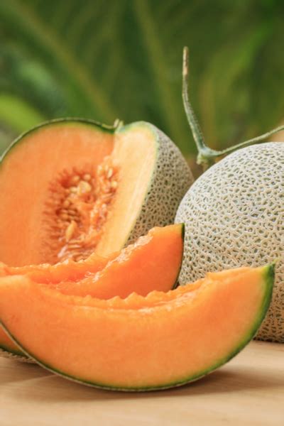 How To Know When Melons Are Ripe 3 Great Signs Its Time To Pick