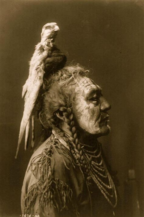 Rare Photos Capture Native Americans In Early 1900s Design You Trust