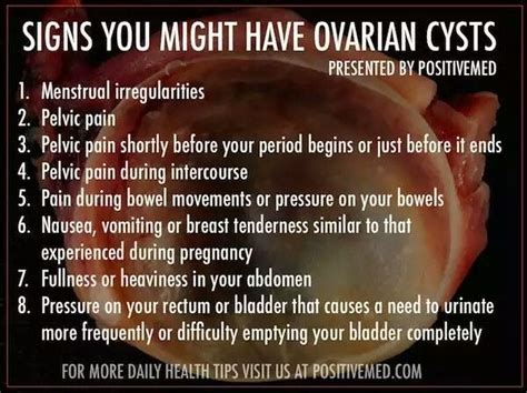 Ovarian Cyst Ovarian Cyst Ovarian Cyst Symptoms Ovarian Cyst Treatment