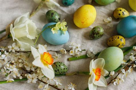 Stylish Easter Eggs And Blooming Spring Flowers On Rustic Table Happy