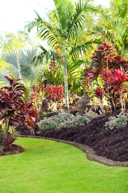 Lotus Ridge Tropical Landscape Hawaii By