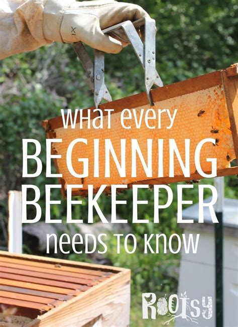 Beekeeping 101 Learn What All Beginning Beekeepers Need To Know