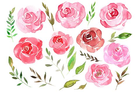 Watercolor Pink Roses And Leaves