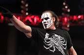 Sting Speaks: Wrestling Icon on WWE and Feuding With Seth Rollins ...