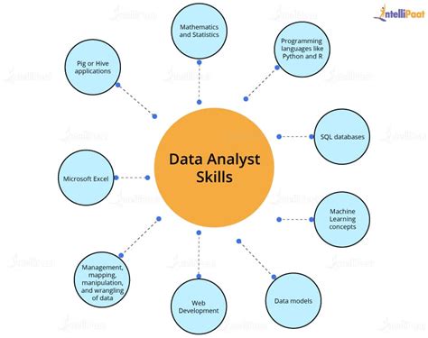 What Does A Data Analyst Do Your Career Guide For