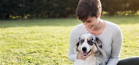 Fear free certification promotes the practices, methods, & tools to calm veterinary patients, preventing and alleviating fear, anxiety and stress in pets. Pet Sitters International, the leading pet-sitter association