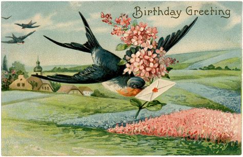 Birthday Swallow Image Extra Pretty The Graphics Fairy